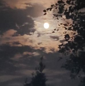 Meet your Posher, Fredrick